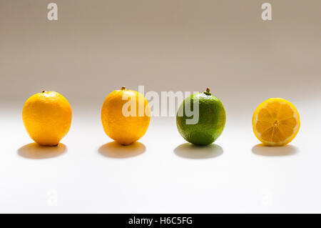 2 Zitronen 1 Limette und 1 halben Zitrone Stockfoto