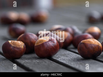 Conkers oder Kastanien auf einem Holztisch. Stockfoto