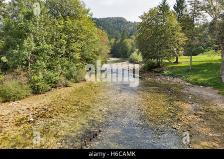 Sava Bohinjka Fluss fließt vom See von Bohinj in Slowenien. Triglav Nationalpark in den Julischen Alpen. Stockfoto