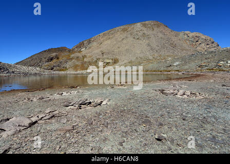 Aktive gemusterte Boden auf einem alpinen Hochplateau in den westlichen Alpen (Parco Naturale del Mont Avic) Stockfoto