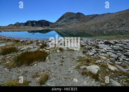 Aktive gemusterte Boden auf einem alpinen Hochplateau in den westlichen Alpen (Parco Naturale del Mont Avic) Stockfoto