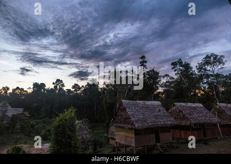 Ein Ayahuasca Medizin Healing Center im peruanischen Amazonas-Regenwald in der Abenddämmerung in einem Dschungel clearing bestehend aus tambos Stockfoto