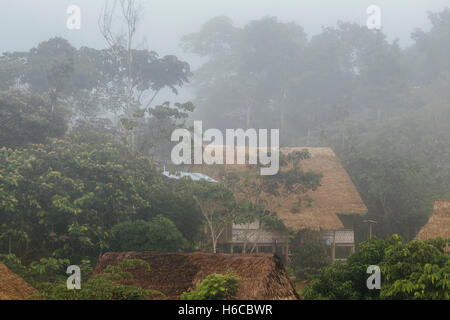 Palm reetgedeckten Tambos auf Stelzen Surround eine Medizin Ayahuasca Healing Center im peruanischen Amazonas-Regenwald in der Nähe von Iquitos Stockfoto