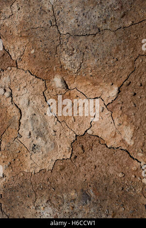 Brauner Farbe trocken rissig schlammigen Erde als eine Hintergrundtextur Stockfoto