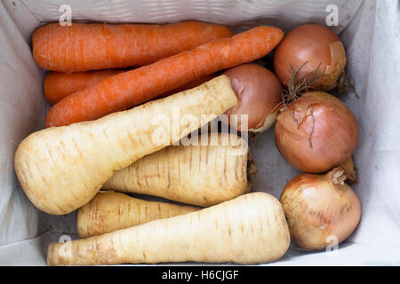 Draufsicht der Gemüse Lagerung zeichnen mit Pastinaken, Karotten und Zwiebeln. Stockfoto