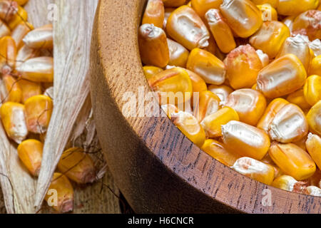 Maissaatgut in Holzschale hautnah. Gute Ernte. Stockfoto
