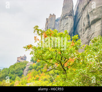 Es gibt ein alten Wald zwischen den Felsen von Meteora. Es gibt zwei Klöster auf dem Hintergrund Stockfoto