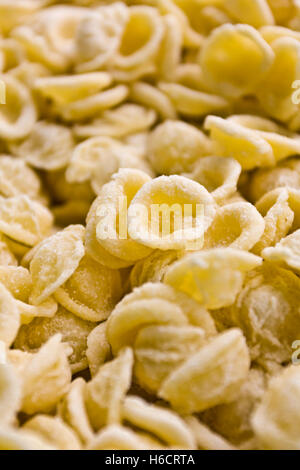 Orecchiette, typisch apulischen handgemachte frische Pasta, Apulien, Süditalien Stockfoto