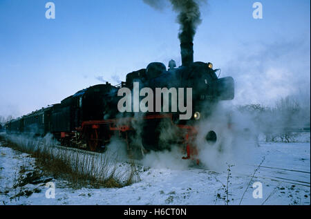 Dampf-Zug-Ausflug in der Nähe von Warstein, Nordrhein-Westfalen Stockfoto