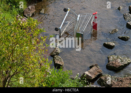 Einkaufswagen in den Neckar, verworfen, Vandalismus, Zerstörung, Umwelt, Stuttgart, Baden-Württemberg, Deutschland Stockfoto