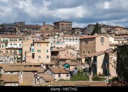 Blick auf Siena, Toskana, Italien, Europa Stockfoto