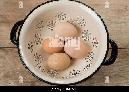 Freash Haus produziert Hühner Freilandeier. Stockfoto