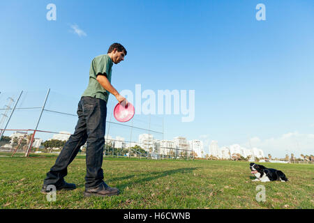 Ein Border-Collie Hund Spaß spielen Frisbee mit seinem Besitzer im Park an einem sonnigen Tag. Stockfoto