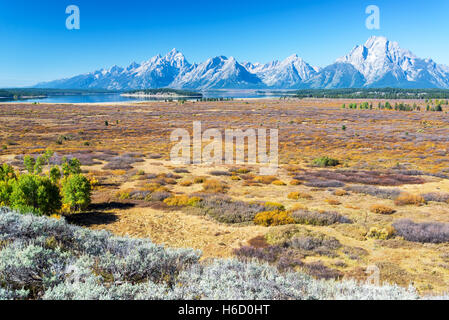 Feld und Teton Range im Grand-Teton-Nationalpark Stockfoto