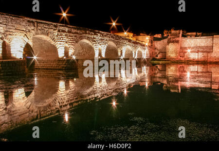 Römische Brücke und Alcazaba oder maurischen Festung in der Nacht, Merida, Spanien Stockfoto