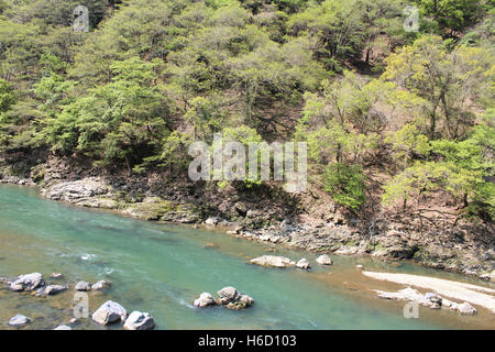 Blick auf Katsura Fluss in Arashiyama im Frühling, Kyoto, Japan Stockfoto