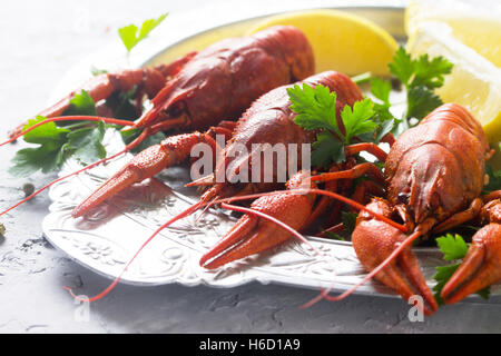 Gekochte Krebse, Zitrone und Petersilie auf einen konkreten Hintergrund, selektiven Fokus. Essen-Hintergrund. Das Konzept einer gesunden Ernährung. Stockfoto