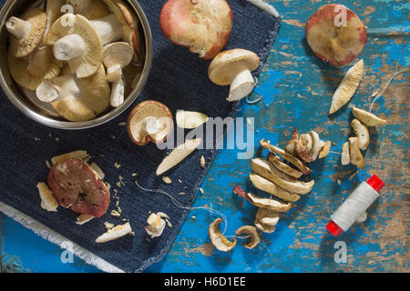 Gemischte frische Steinpilze. Shiitake, Russules auf blauen Vintage Holztisch. Vorbereitung von getrockneten Pilzen. Stockfoto