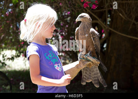 Junge blonde Mädchen Holding Yellow-billed Kite Eule Conservation Trust Lake Naivasha, Kenia Stockfoto