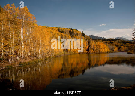 Herbstfarben spiegeln sich in einem am Straßenrand See unterwegs Colorado 145. Aspen goldene Farben spiegeln sich in den ruhigen Gewässern der lak Stockfoto