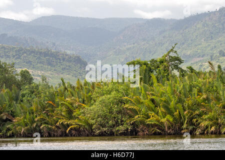 Blick entlang des Kampot Flusses, Kambodscha Stockfoto