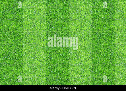 Grasgrün Muster Schleife strukturierten Hintergrund Stockfoto