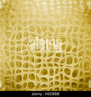 Knochen schwammartige Struktur Illustration - 3D Rendering Stockfoto