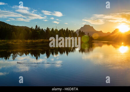 Vogel im Snake River schwimmen wie die Sonne setzt über den Grand Teton National Park in Wyoming Stockfoto