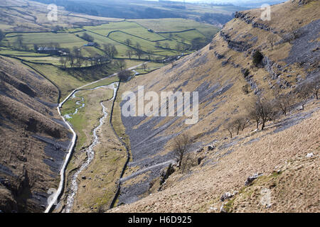 Blick über Gordale Beck von oben Gordale Narbe, Malham, Malhamdale, Yorkshire Dales, UK Stockfoto