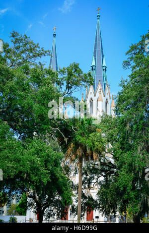 Eingehüllt von Bäumen, die 1873 Cathedral of St. John the Baptist, Mutterkirche der römisch-katholischen Diözesen in Savannah, GA Stockfoto