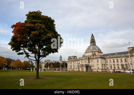 Gorsedd Gärten und Cardiff Rathaus Wales Großbritannien Stockfoto