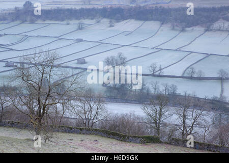 Blick über Trockenmauern und mattierte Felder im Winter in der Nähe von Kettlewell, Wharfedale, Yorkshire Dales, North Yorkshire, UK Stockfoto