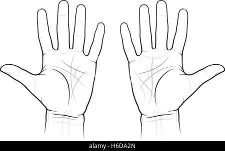 Chiromantie Diagramm der Palmen: Linien und Möglichkeiten, EPS-8 Stock Vektor