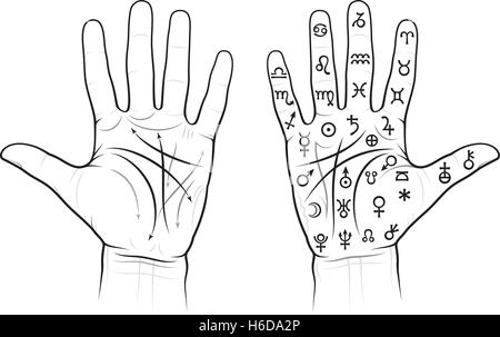 Chiromantie Diagramm der Palmen: Linien, Wege, Reittiere und Täler Stock Vektor