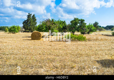 Die Landwirtschaft landet auf dem Weg zur Akamas-Halbinsel, Zypern. Stockfoto