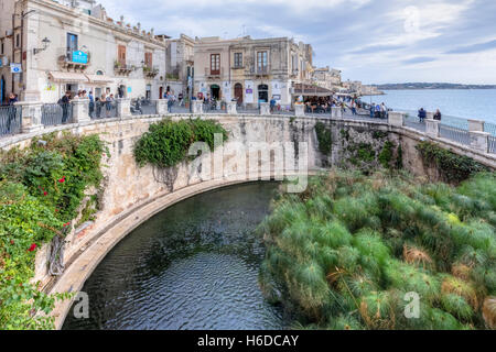 Fonte Aretusa, Ortigia, Siracusa, Sizilien, Italien Stockfoto