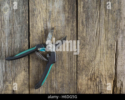 27. Oktober 2016 - alten Garten Gartenschere auf hölzernen Verwitterung Tisch (Credit-Bild: © Igor Golovniov über ZUMA Draht) Stockfoto