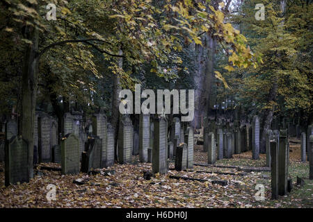 Hamburg, Deutschland. 27. Oktober 2016. Blick auf dem jüdischen Friedhof in Hamburg, Deutschland, 27. Oktober 2016. Nach der Speicherstadt Bezirk soll der jüdische Friedhof in Altona der zweite UNESCO World Heritage Hamburg geworden. Foto: AXEL HEIMKEN/Dpa/Alamy Live News Stockfoto