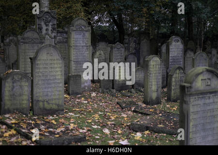 Hamburg, Deutschland. 27. Oktober 2016. Blick auf dem jüdischen Friedhof in Hamburg, Deutschland, 27. Oktober 2016. Nach der Speicherstadt Bezirk soll der jüdische Friedhof in Altona der zweite UNESCO World Heritage Hamburg geworden. Foto: AXEL HEIMKEN/Dpa/Alamy Live News Stockfoto