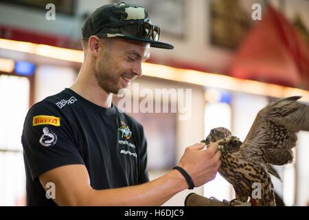 Souq Waqif Doha, Qatar. 27. Oktober 2016. Leon Camier hält ein Falke während eines Besuchs in Souq Waqif vor der letzten Runde der 2016 FIM World Superbike Championship Kredit: Gina Layva/Alamy Live News Stockfoto