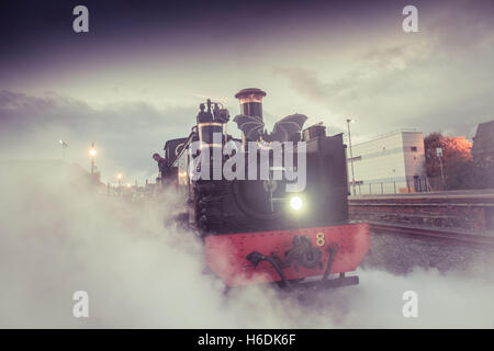 Aberystwyth, Wales, UK. 27. Oktober 2016.  Menschen in Halloween Fancy Dress Kostüme einsteigen in das Vale of Rheidol Schmalspur Dampfeisenbahn "Halloween Special" am Bahnhof von Aberystwyth trainieren.     Bildnachweis: Keith Morris/Alamy Live-Nachrichten Stockfoto