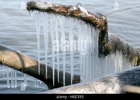 Großen Eiszapfen aus Zweigen am Rande eines Sees Stockfoto