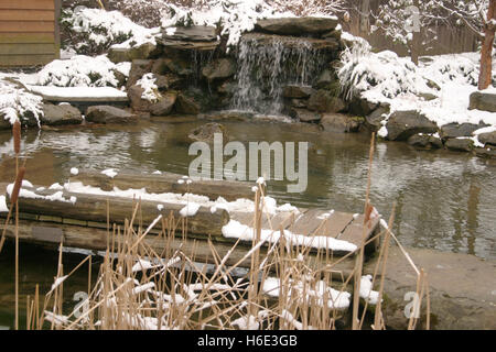 Winter im Botanischen Garten in Cleveland, Ohio, USA Stockfoto