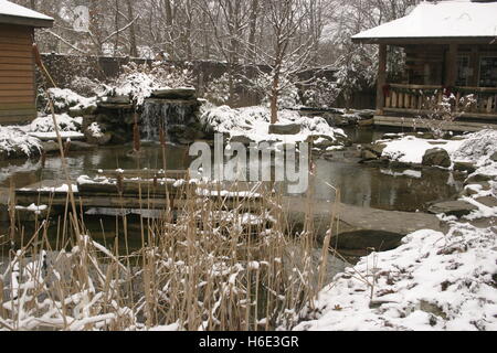 Winter im Botanischen Garten in Cleveland, Ohio, USA Stockfoto