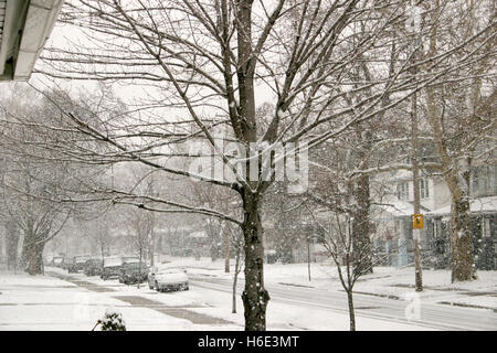 Straße in Cleveland, Ohio, USA im Schneesturm Stockfoto