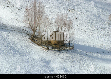 Brasov, Rumänien. Heuhaufen geschützt durch einfachen Zaun auf einem Hügel, im Winter. Stockfoto
