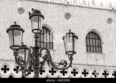 Monochrome Foto von Tauben sitzen auf die historische Laterne auf dem San Marco Platz. Stockfoto