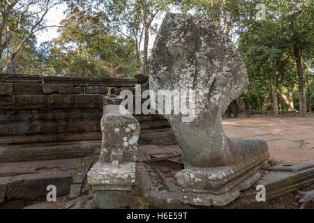 Naga, mehrköpfiger mythologischer schlangengott, Tempelruinen, Boeng Mealea, alias Boeng Mealea, Siem Reap, Kambodscha Stockfoto