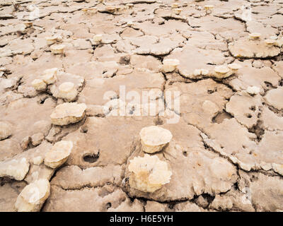 Mineralische Formationen rund um den Schwefel See Dallol, Danakil-Senke, Äthiopien. Stockfoto