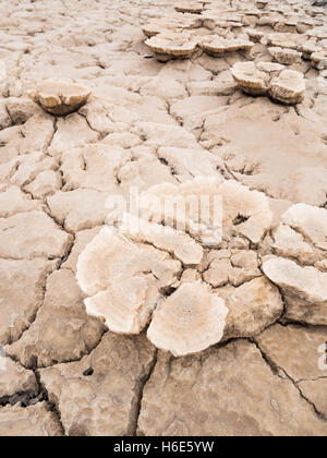 Mineralische Formationen rund um den Schwefel See Dallol, Danakil-Senke, Äthiopien. Stockfoto